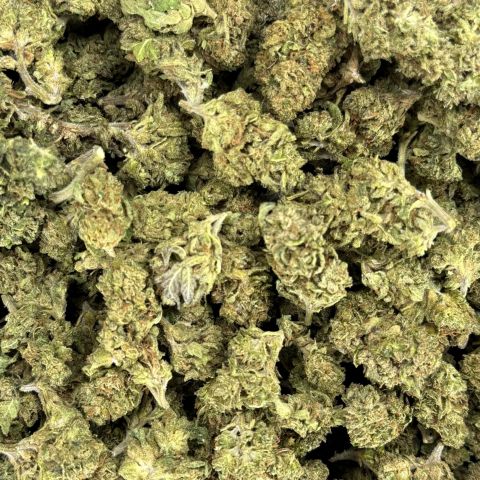 Red Congolese Flower – Sativa – THCA - Thumbnail 2