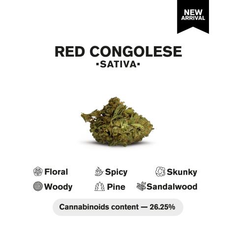 Red Congolese Flower – Sativa – THCA - Thumbnail 4