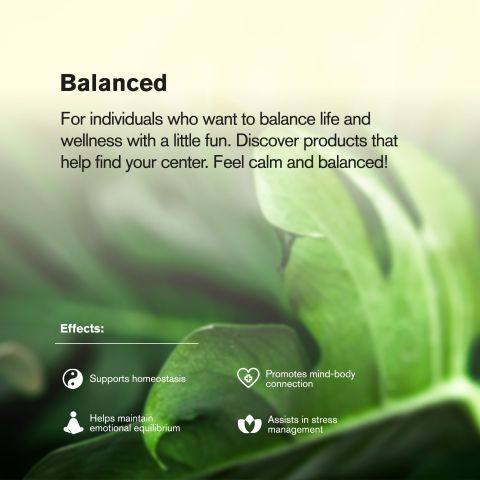 0.5g Area 41 Mini Pre-Roll - Hybrid - THCA - 5 Joints - Thumbnail 9