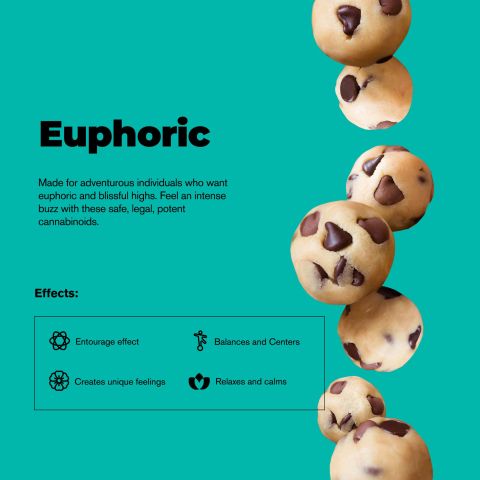 10mg Delta 8 Dough Bites - Chocolate Chip Bites - Chill Plus - Thumbnail 5