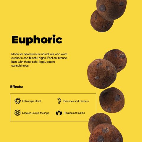 10mg Delta 8 Dough Bites - Double Chocolate Chip Bites - Chill Plus - Thumbnail 5