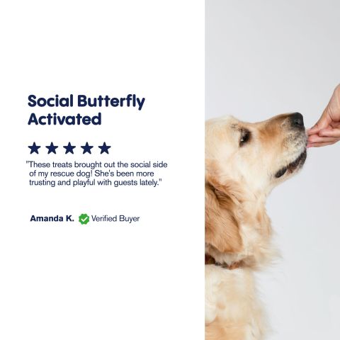 500mg CBD Pet Treats For Dogs - Beef Chew - MediPets - Thumbnail 6