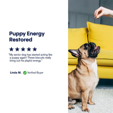 500mg CBD Pet Treats For Dogs - Biscuits - MediPets - Thumbnail 6