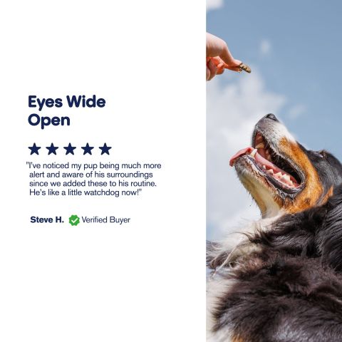 300mg CBD Pet Treats For Dogs - Grilled Chicken - MediPets - Thumbnail 6