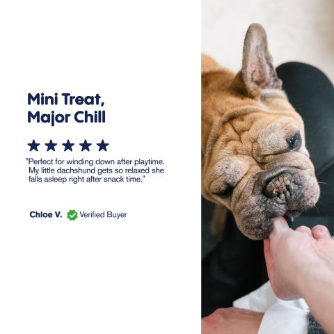 CBD Dog Treats - Mini Hot Dogs - 600mg - MediPets - Thumbnail 6
