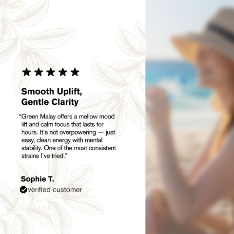 100g Kratom Powder - Green Malay - Chill Plus - Thumbnail 6