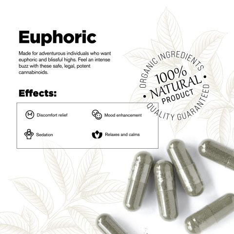 500mg Kratom Capsules - Red Bali Strain - 100ct - Chill Plus - Thumbnail 4