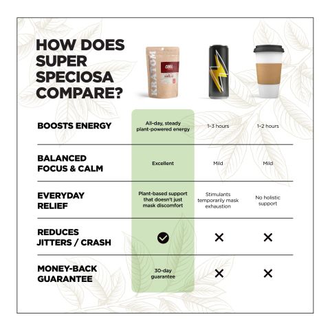 500mg Kratom Capsules - Red Maeng Da Strain - 100ct - Chill Plus - Thumbnail 3