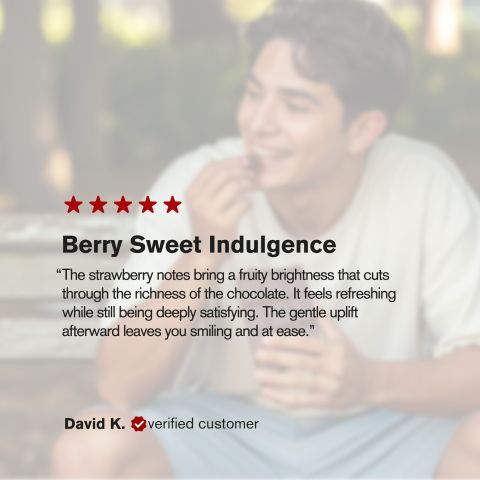 600mg Dark Chocolate & Strawberries Bar – D8 – Chill Plus - Thumbnail 6