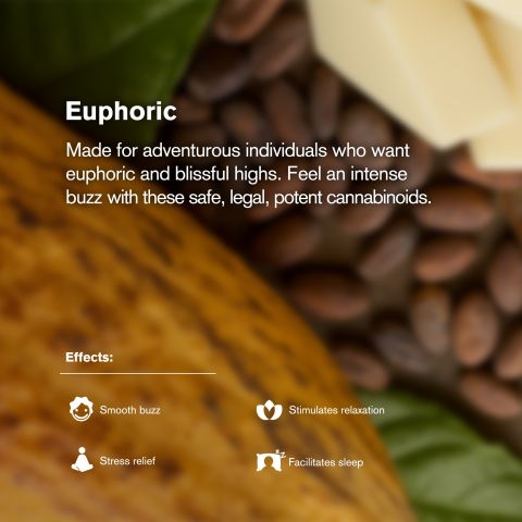 600mg White Chocolate & Peanut Butter Bar – D8 – Chill Plus - Thumbnail 5