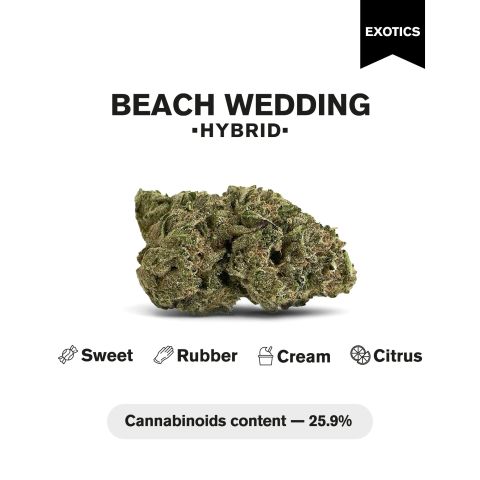 Beach Wedding Flower – Hybrid – THCA - Thumbnail 5