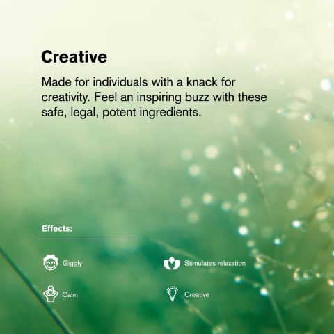 Gelatti Cake Flower – Hybrid – THCA - Thumbnail 5