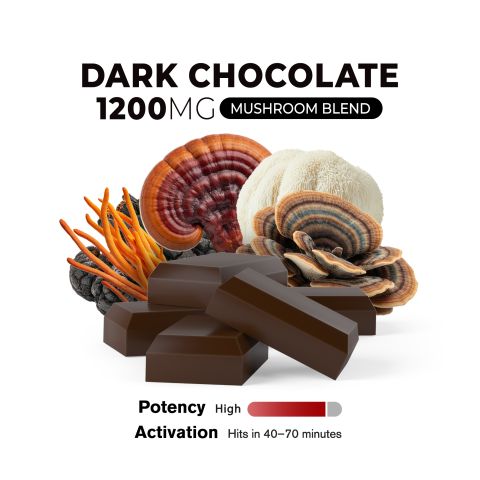 14,400mg Dark Chocolate Bar - Magic Mushroom - Shrooomies - Thumbnail 4