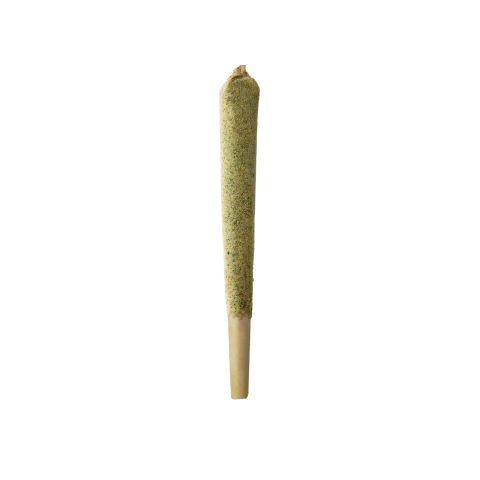 1.5g Kief Pre-Roll - Sativa Blend - THCA - Thumbnail 1