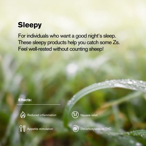 1.5g GrandDaddy Purp King Size Pre-Roll - Indica - THCA - 1 Joint - Thumbnail 8