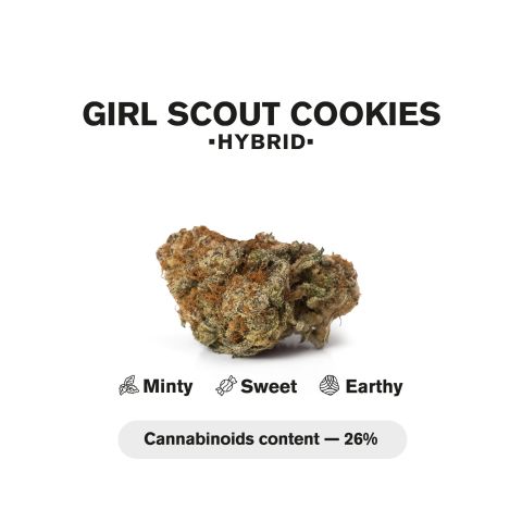 1.5g Girl Scout Cookies King Size Pre-Roll - Indica - THCA - 1 Joint - Thumbnail 5