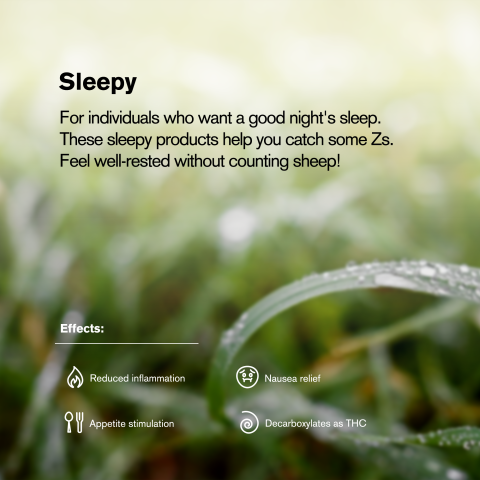 1.5g Purple Kush King Size Pre-Roll - Indica - THCA - 1 Joint - Thumbnail 8