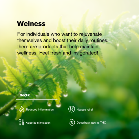 1.5g Blueberry Strain King Size Pre-Roll - Indica - THCA - 1 Joint - Thumbnail 8