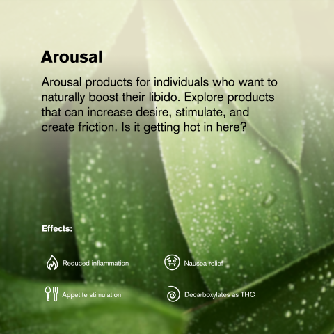 1.5g Forbidden Fruit Strain King Size Pre-Roll - Indica - THCA - 1 Joint - Thumbnail 8