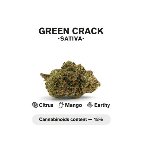1.5g Green Crack Strain King Size Pre-Roll - Sativa - THCA - 1 Joint - Thumbnail 5