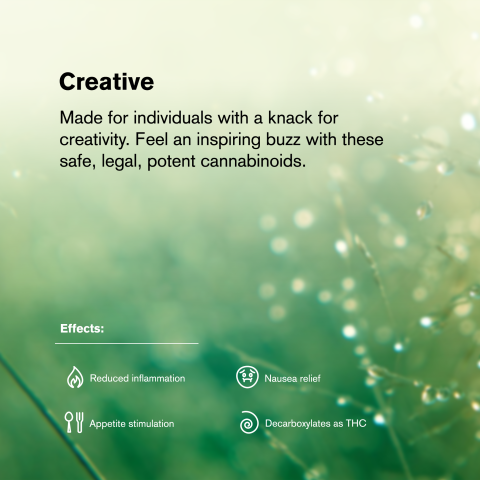 1.5g Pancakes Strain King Size Pre-Roll - Hybrid - THCA - 1 Joint - Thumbnail 8