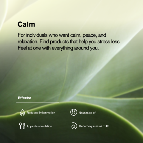 0.5g Animal Mints Mini Pre-Roll - Hybrid - THCA - 5 Joints - Thumbnail 9