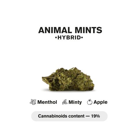 0.5g Animal Mints Mini Pre-Roll - Hybrid - THCA - 5 Joints - Thumbnail 5