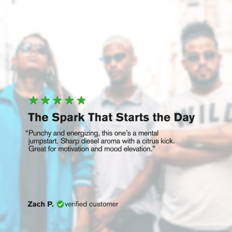 0.5g Sour Diesel Mini Pre-Roll - Sativa - THCA - 5 Joints - Thumbnail 10