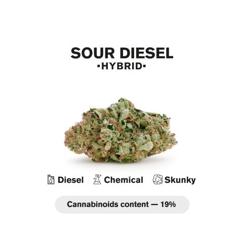 0.5g Sour Diesel Mini Pre-Roll - Sativa - THCA - 5 Joints - Thumbnail 5