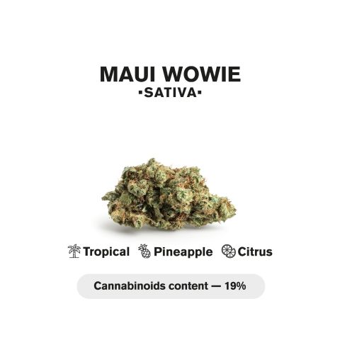 0.5g Mini Pre-Roll Maui Wowie - Sativa - THCA - 5 Joints - Thumbnail 5