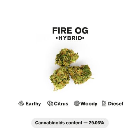 1.5g Fire OG King Size Pre-Roll - Hybrid - THCA - 5 Joints - Thumbnail 5