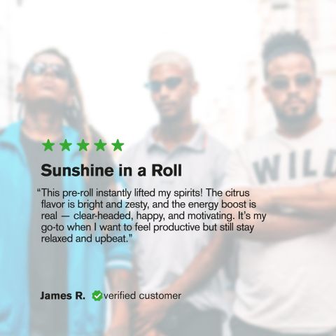 1.5g Super Lemon Haze King Size Pre-Roll - Hybrid - THCA - 5 Joints - Thumbnail 10