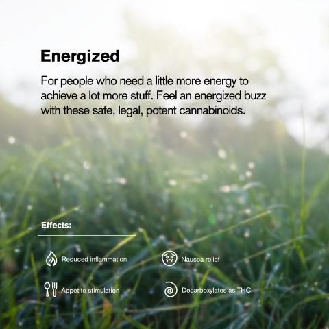 1.5g Lemon Skunk King Size Pre-Roll - Hybrid - THCA - 5 Joints - Thumbnail 9