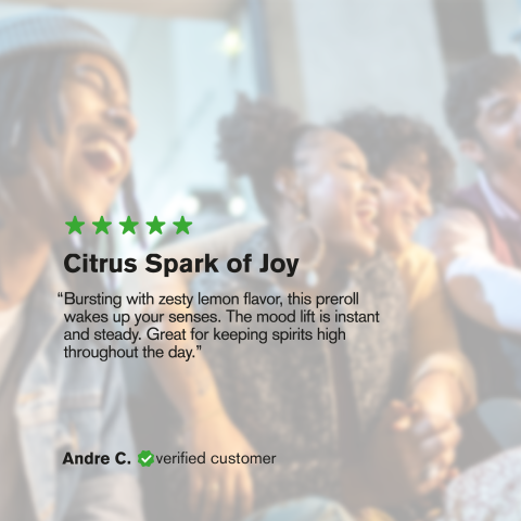 1.5g Lemon Skunk King Size Pre-Roll - Hybrid - THCA - 5 Joints - Thumbnail 10