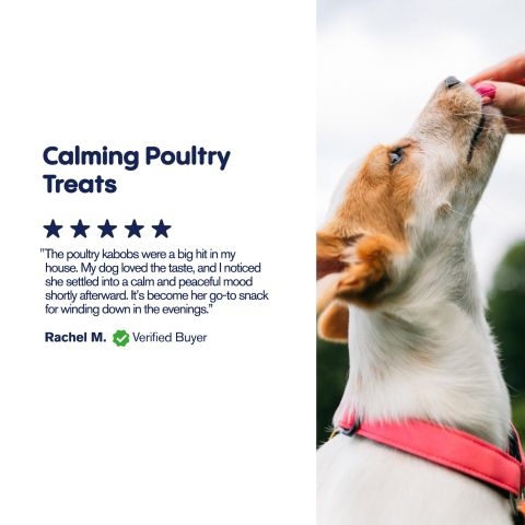 200mg CBD Pet Treats For Dogs - Kabobs - MediPets - Thumbnail 6