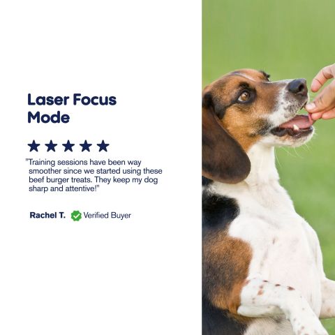 1,000mg CBD Pet Treats For Dogs - Burger Beef Minis - MediPets - Thumbnail 6