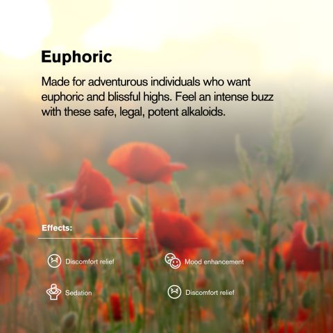 200mg Mitragynine Tablets - Mango - Chill Plus - Thumbnail 7