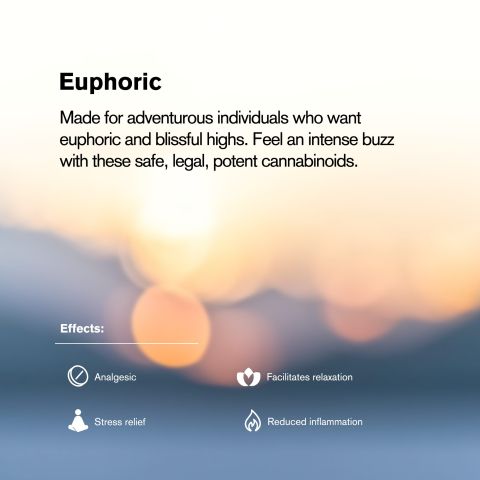 25mg CBG Tablets - Berries - Chill Plus - Thumbnail 7