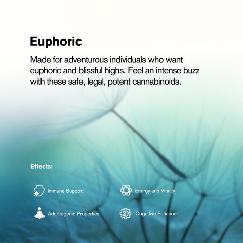 1,200mg Magic Mushroom Tablets - Cookies & Cream - Shrooomies - Thumbnail 7