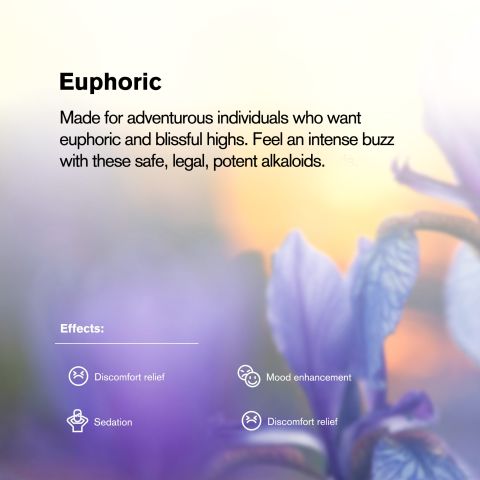 100mg Mitragynine Tablets - Blueberry - Chill Plus - Thumbnail 7