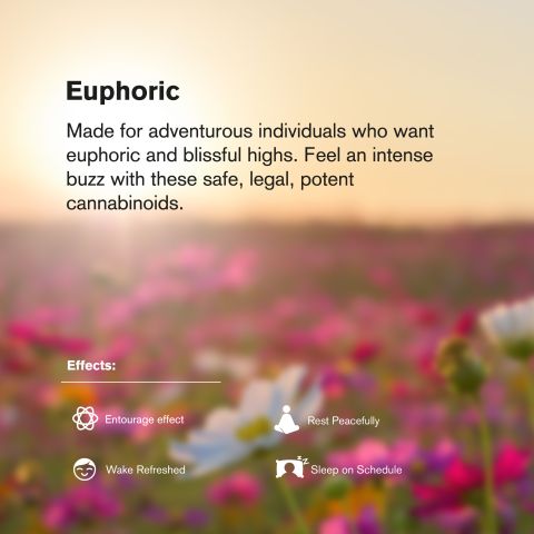 100mg D8 & THCP Gummies - Fruity Mix - Chill Plus - Thumbnail 8