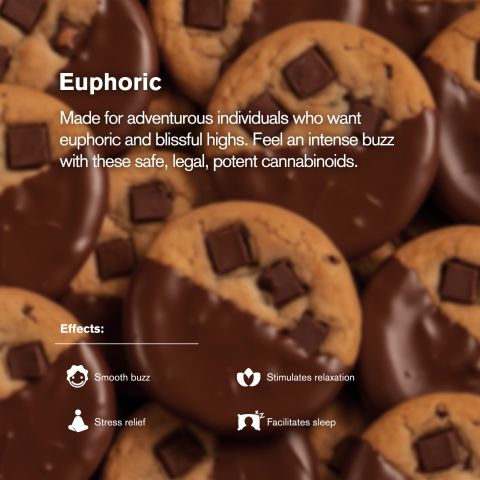 100mg Delta 8 Chocolate Chunk Cookie - Chill Plus - Thumbnail 5