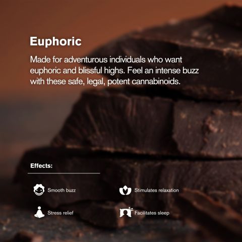 20mg Dark Chocolate Waffle Cones - Delta 9 - Chill Plus - Thumbnail 5