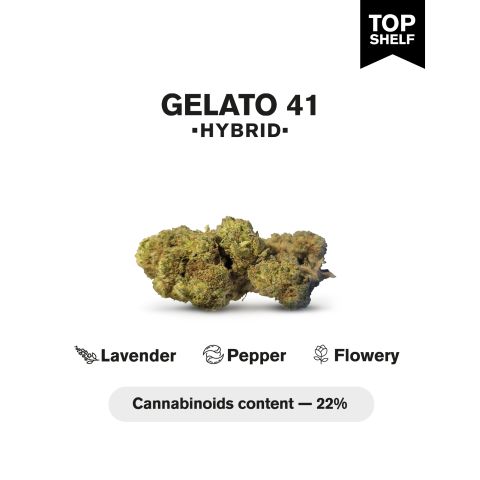 Gelato 41 Flower - Hybrid - THCA - Thumbnail 3