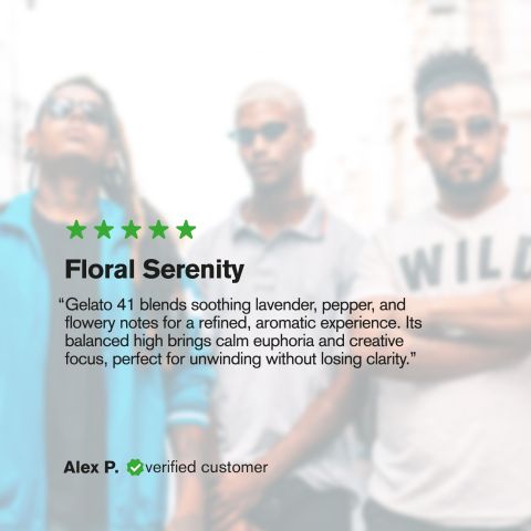 Gelato 41 Flower - Hybrid - THCA - Thumbnail 6