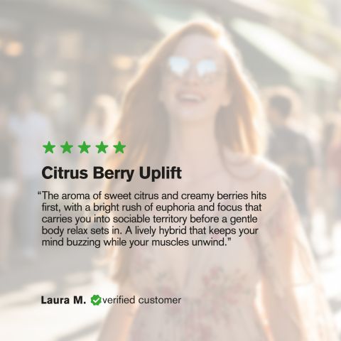 Halle Berry Flower - Hybrid - THCA - Thumbnail 6