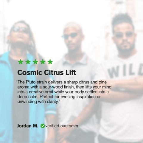 Pluto Flower - Hybrid - THCA - Thumbnail 6