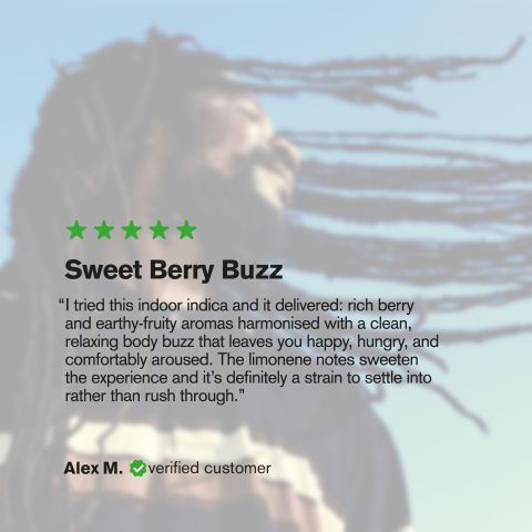 Purple Panty Dropper Flower - Indica - THCA - Thumbnail 6