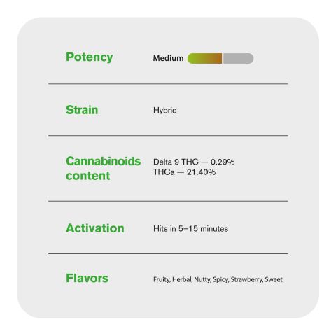 Pink Rozay Flower - Indica - THCA - Thumbnail 4