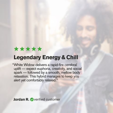 White Widow Flower - Hybrid - THCA - Thumbnail 6